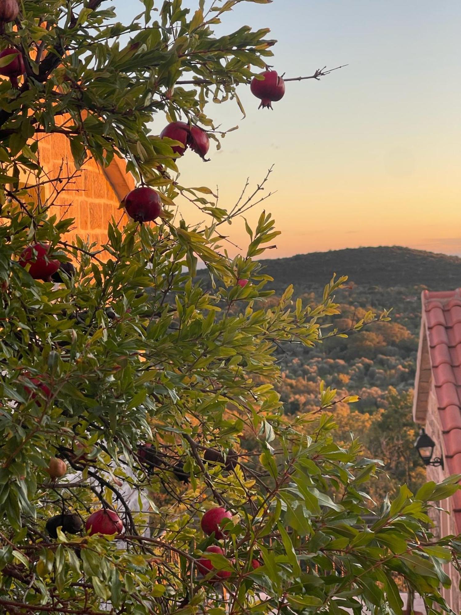 Klinci Village Resort Екстериор снимка